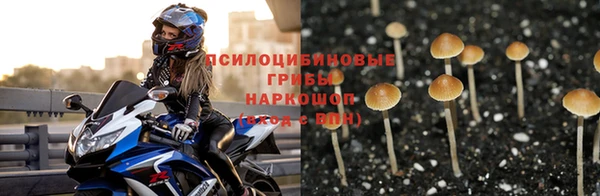меф Белокуриха