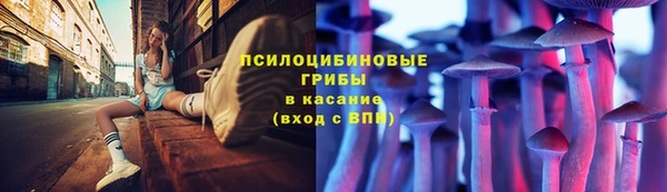 меф Белокуриха