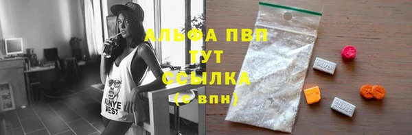 гашик Беломорск