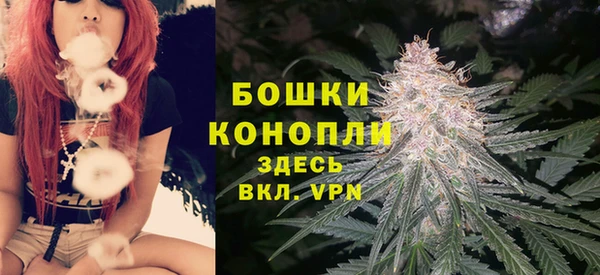 гашик Беломорск