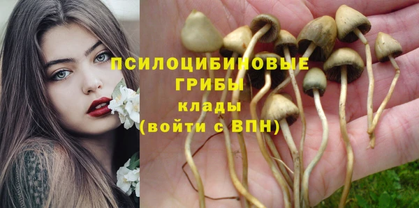 соль ск Балабаново