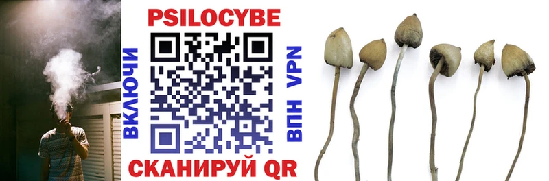 Купить  Нижняя Тура  Псилоцибиновые грибы Psilocybine cubensis 